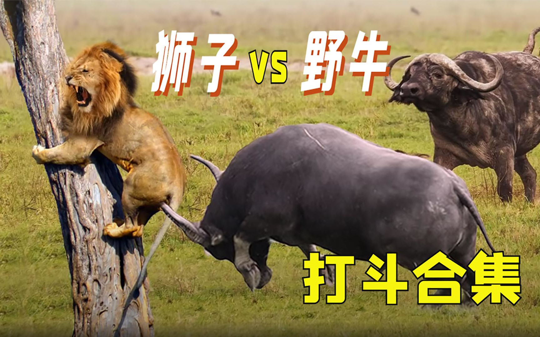 超强对抗！顶级球队对决惊险刺激的简单介绍